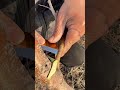Tree grafting method | Método de injerto de árboles | 果樹の接ぎ木 |쉬운 나무 접목 🌿 #plants #injerto #plantas