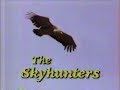 The Skyhunters (1986)