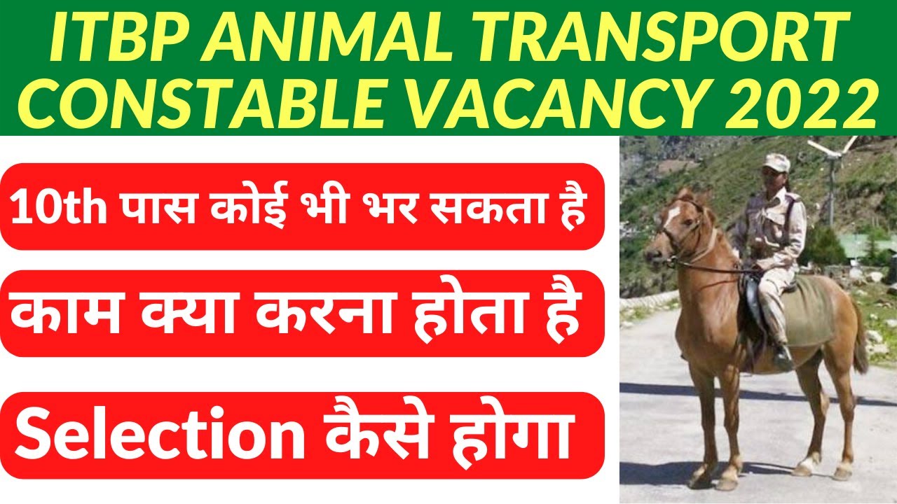 ITBP Animal Transport Kya Hai ITBP animal transport recruitment 2022