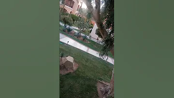 ام كلثوم روح قلبي يا حياة ايامي Makadi 