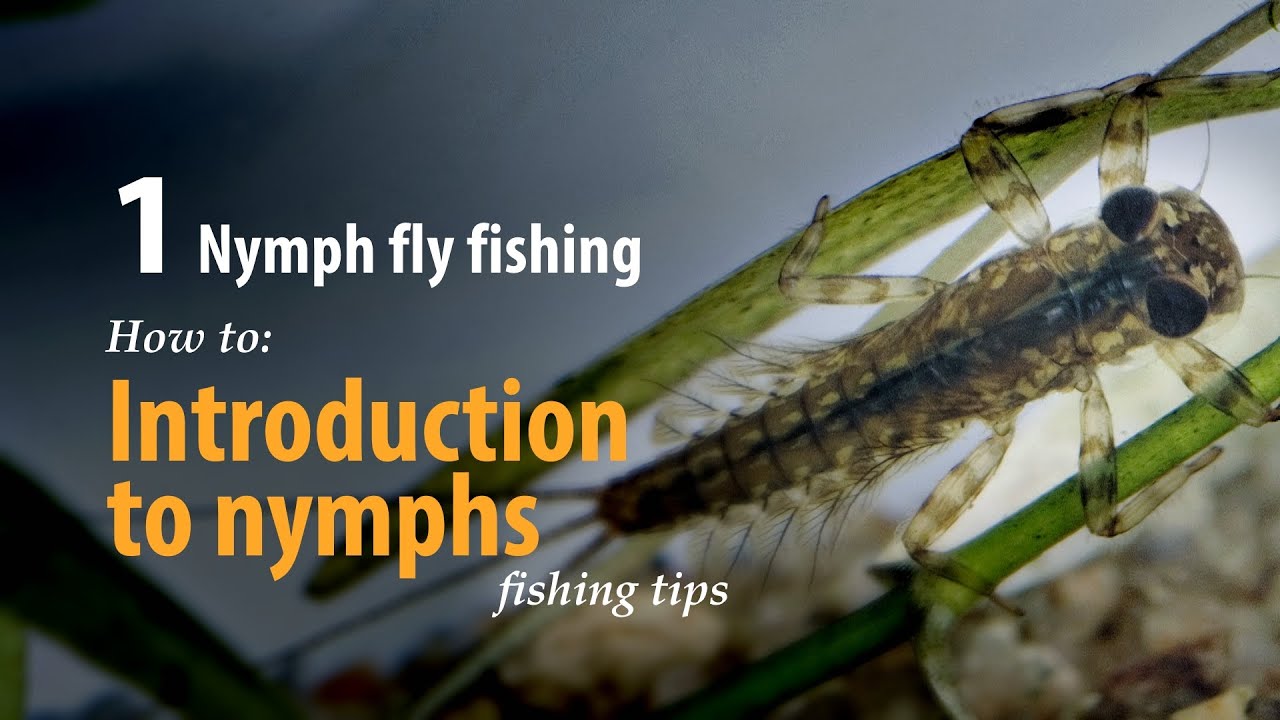 How to • Nymph fly fishing • Introduction to nymph fishing • fishing tips YouTube