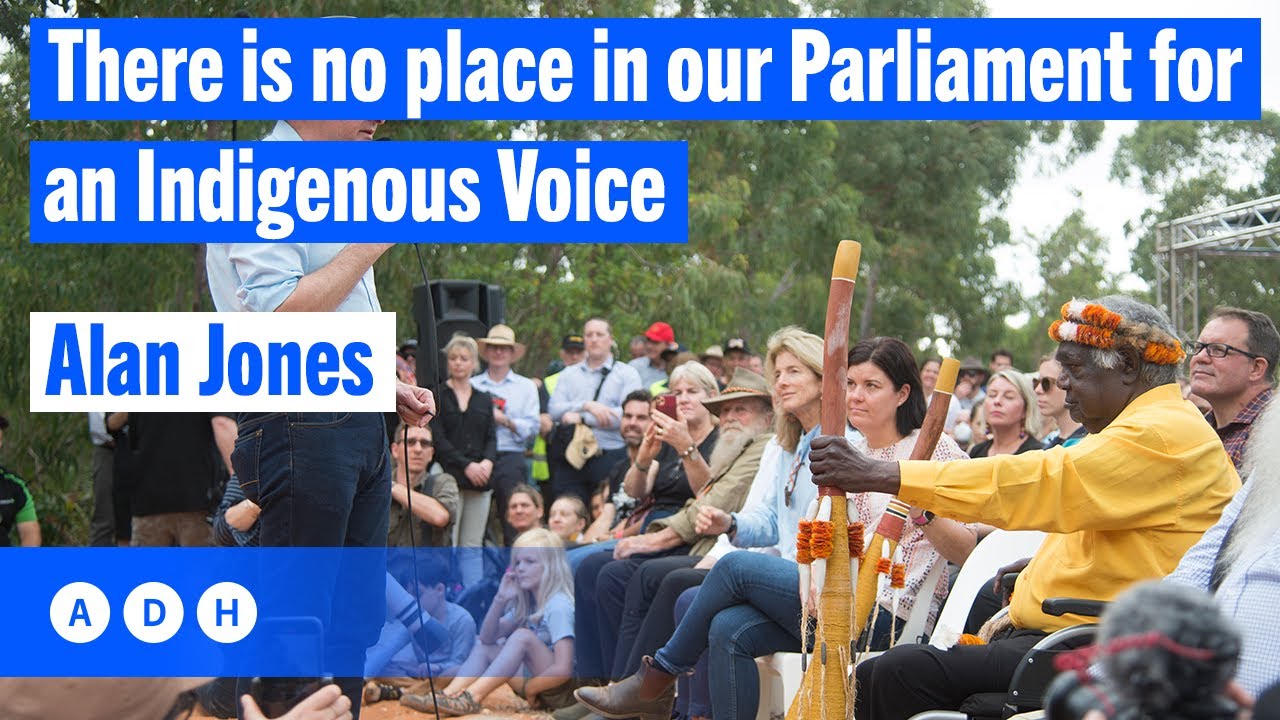 there-is-no-place-in-our-parliament-for-an-indigenous-voice-alan