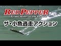 【ルアーアクション動画】レッドペッパー / Red Pepper / Tiemco Bass Fishing JP / ティムコ バスフィッシング