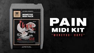 Emotional MIDI & Sample Pack (Rod Wave, NBA Youngboy, Polo G, Lil Tjay Pain Type Type Loops 2025)