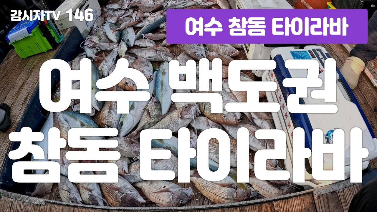 여수 백도권 참돔 타이라바 - 146 / 여수 참돔 타이라바 / タイラバ / 韓国 / 南海