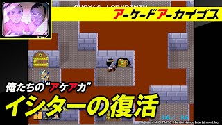 マルチアケコン イシターの復活 他、ツインレバージョイスティック アケアカ Switch】アケアカ対応 マルチアケコン ツインレバースティック