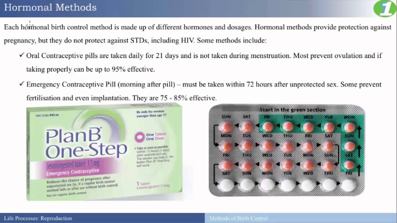Biology Methods Of Birth Control Biology Methods Of Birth Control