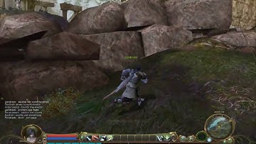 InfiniteAion - 2 Bugs