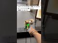 スターバックスとオートバックスの言い間違い