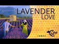 Lavender loveunlocking the heart  minds serenity