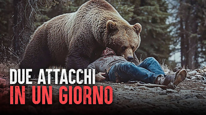 Attaccato da un orso due volte in un giorno: la tragedia di Todd Orr