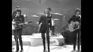 The Hollies - Carrie Anne