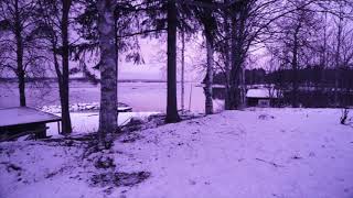 Hans Berg - Emerald Sea (Official Audio)
Official audio for Emerald Sea by Hans Berg off his album, Sounds Of The Forest Forgotten.
Buy/Listen to Sounds Of The Forest Forgotten: http://2mr.lnk.to/forestforgotten
Follow Hans Berg on Spotify: https://spoti.fi/2JrzPAQ
Visit the Hans Berg Channel:
https://www.youtube.com/channel/UCS3oVoUWpkHoiPkTI5VDWig
Connect on Socials:
Facebook: https://www.facebook.com/HansBergMusic/
Instagram: https://www.instagram.com/hans_berg/
More From Hans Berg:
Techno Driving (Daytime) - https://youtu.be/joO3VOpClCc
Techno Driving (Nighttime) - https://youtu.be/zuwHlLJBd_Q
Live At The Lot Radio 2016 - https://youtu.be/DK3pm4bO_wE Hans Berg - Emerald Sea (Official Audio)