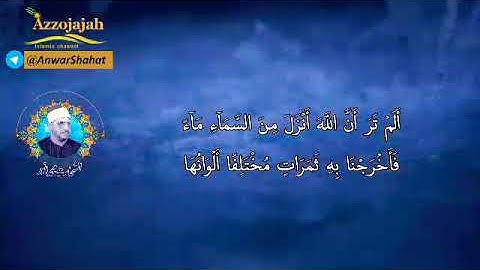 الشيخ الشحات محمد أنور سورة فاطر نهاوند وبيات  #جعفر_الصبيحاوي