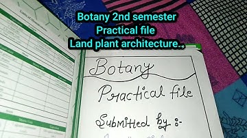 Botany 2nd semester practical file ...