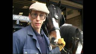 The Shire Horses at Wadworth brewery by Studio 12 Archive 1,924 views 2 years ago 7 minutes, 21 seconds