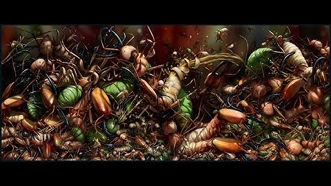 The Portal Wars D&D 5e - Session 4 Part 3