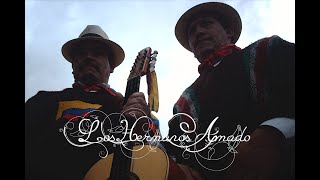 Miniatura del video "LOS HERMANOS AMADO - Mi morenita"