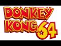 Cg rap  donkey kong 64