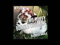 Roots X Caulz TWO FUFFY BUNNIES CUDDLING TLO mp3