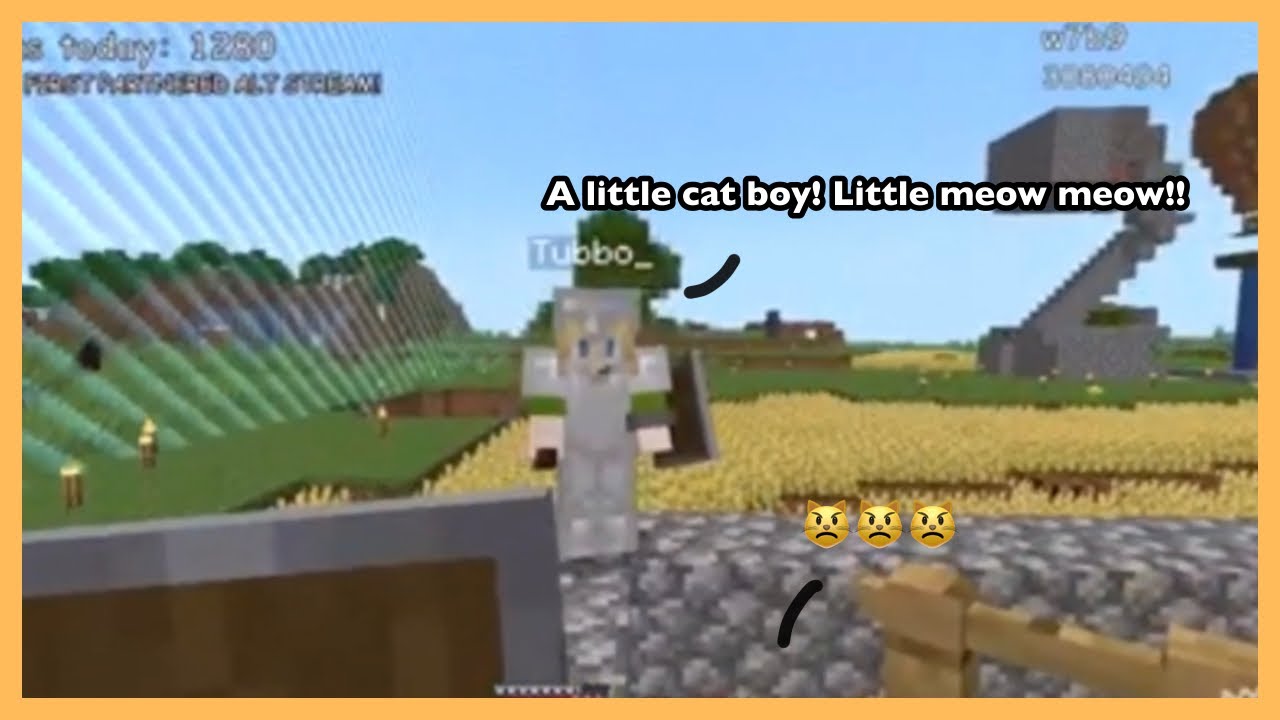 Never call Ranboo this or he will scream 