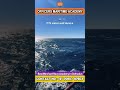 Merchant Navy Coaching In Dehradun | Officer Maritime Academy Dehradun | Merchant Navy Coaching