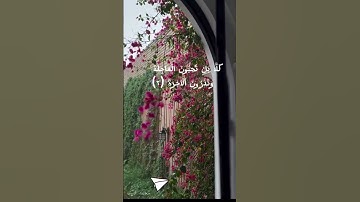 تلاوة حجازيَّة صادحة للشيخ محمَّد ايوب من تلاوات تراويح مسجد قباء عام ١٤١٦هـ🌱✨