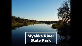 Myakka River State Park Florida.  The bay area's escape to nature. by Allwonkyvids 59 views 1 year ago 8 minutes, 10 seconds