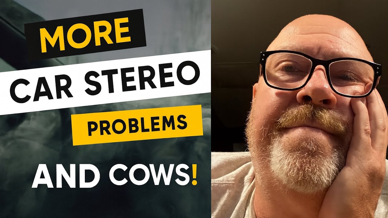 Life on the Road: Jeep Problems, Cows & Country Drive 🛣️ | Nomad Vlog 2025