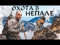 ТРОФЕЙНАЯ ОХОТА В НЕПАЛЕ (2020)