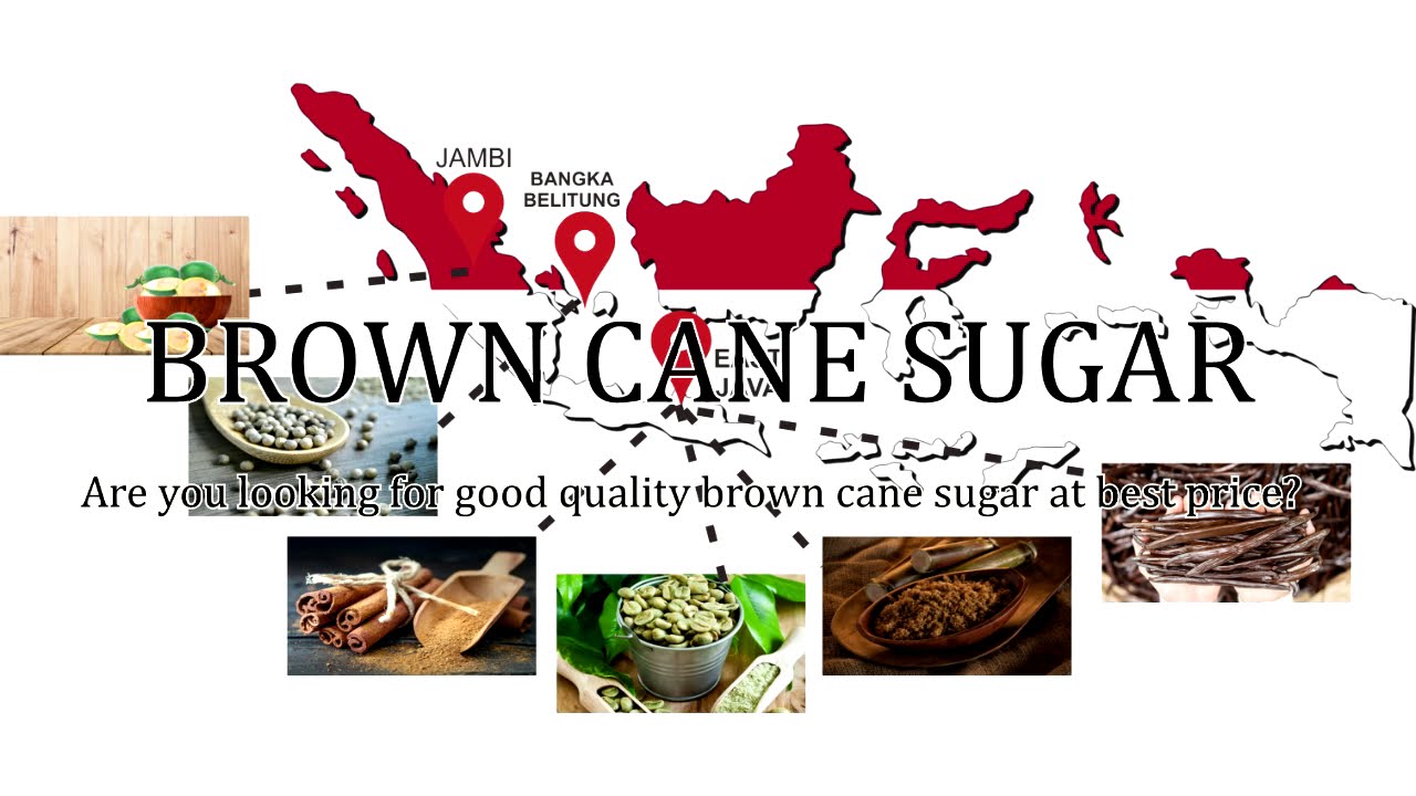 Brown cane sugar - Export Hall