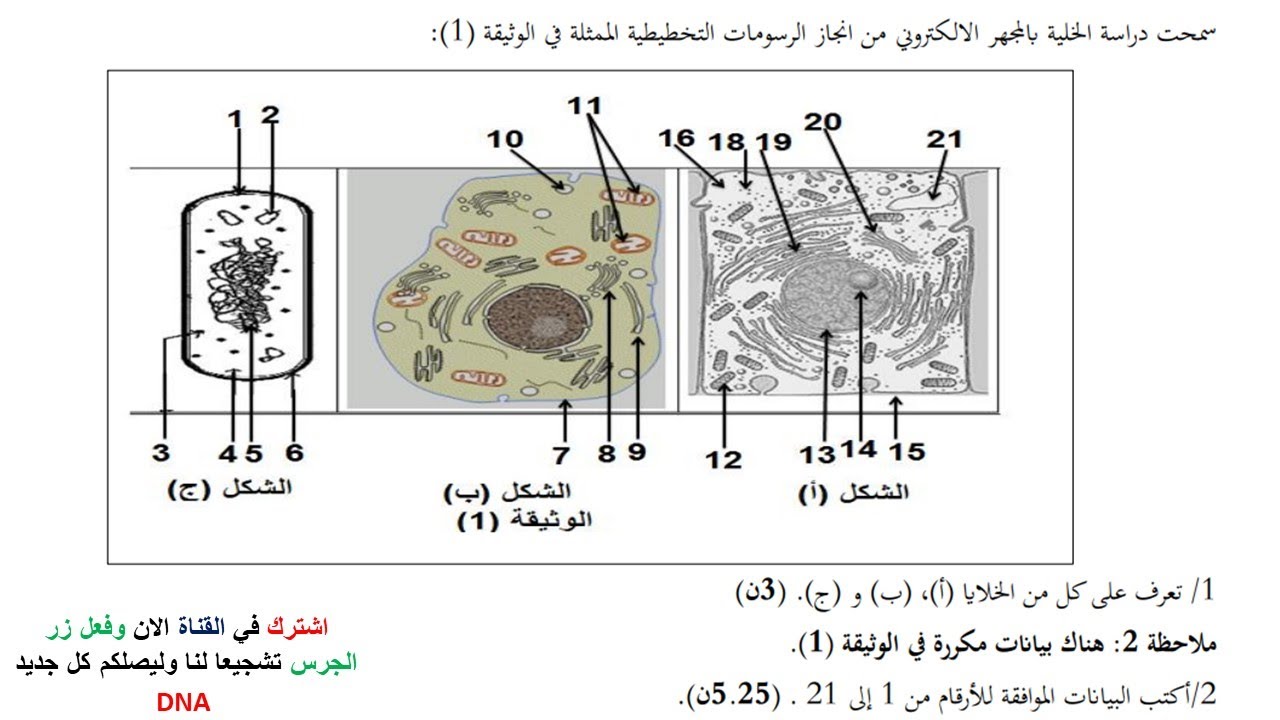 اختبار الفصل الثاني في العلوم الطبيعية للسنة الثانية ثانوي