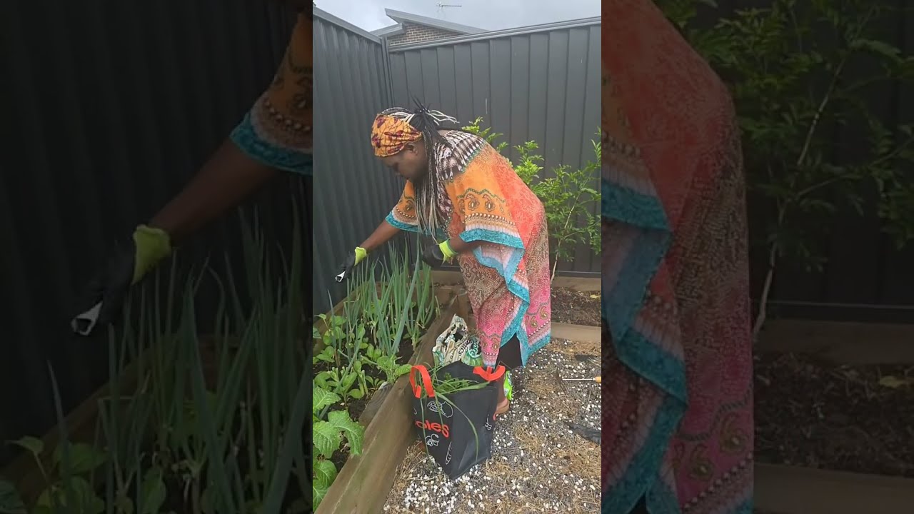 Planting , Watermelon, Passion fruit and parsley