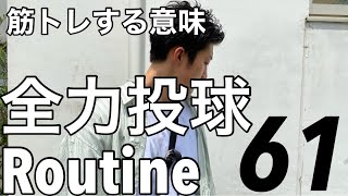 IKEA入れなくて渋々ニトリでショッピング！【全力投球なナミカズの日常VLOG#61】全力ルーティン！