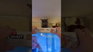 Dusty Cat Emerges from Ceiling Hole