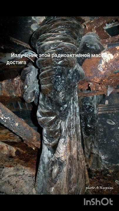 Чернобыль, самые опасные места #слоновьянога #рыжийлес - YouTube