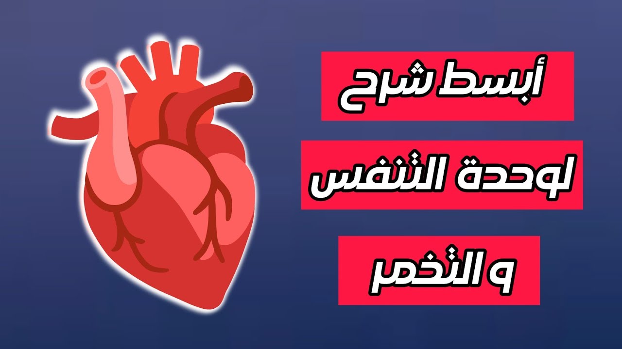 أبسط شرح لتنفس 🫀 و االتخمر ✌️ .