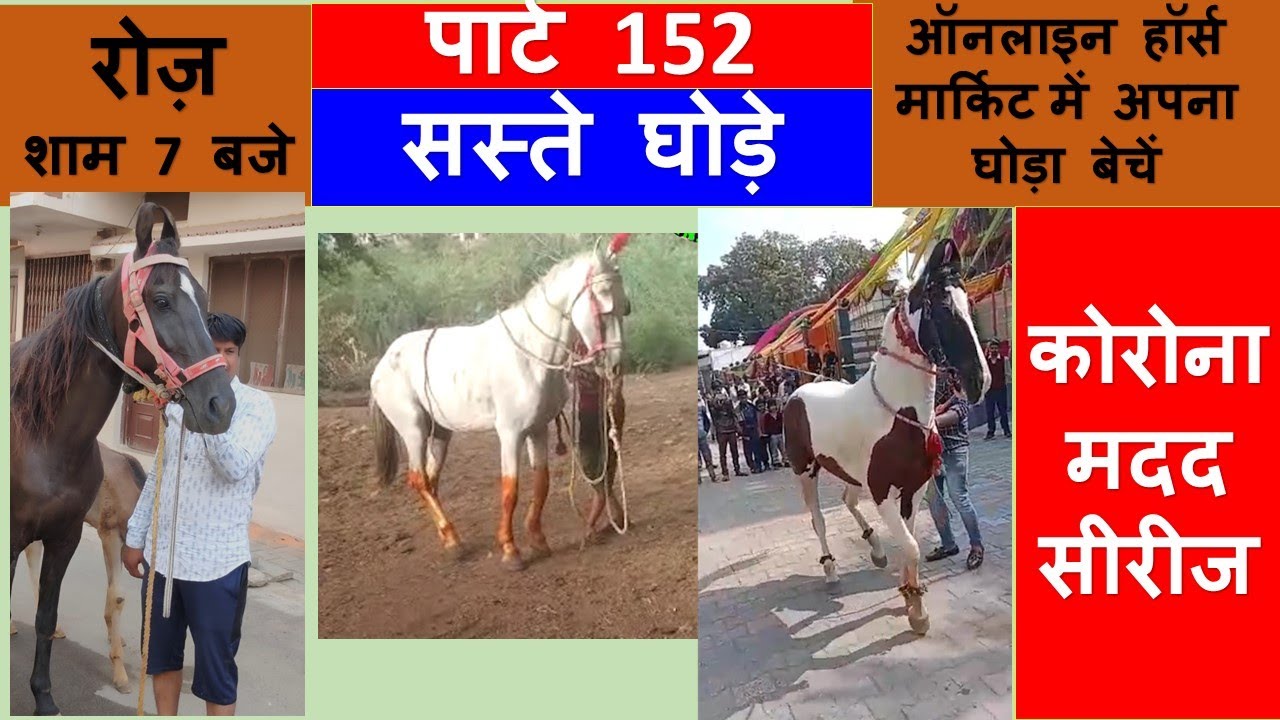 किसान सस्ते घोड़े सीरीज 152 𝐎𝐧𝐥𝐢𝐧𝐞 𝐇𝐨𝐫𝐬𝐞 𝐌𝐚𝐫𝐤𝐞𝐭 𝐈𝐧 𝐈𝐧𝐝𝐢𝐚 𝐇𝐨𝐫𝐬𝐞𝐬 𝐅𝐨𝐫