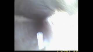 Drainmechanics 41113-L