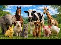 30 cute Animals sounds for kids | Learn Animal Sounds For Toddlers , Elephant , Cat , Horse , Cow.