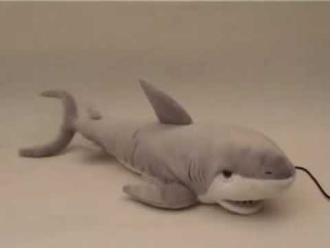 Singing Shark - YouTube
