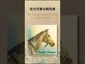 Mini Essay #13: The Young Shogun’s Horse – His Mysterious Gaze #shorts #AIArt