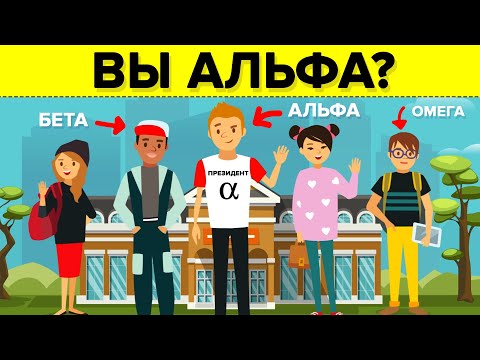 Являетесь ли вы Альфа-самцом в своей группе?