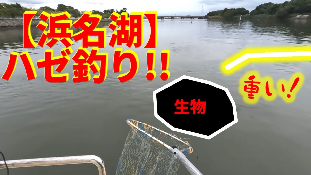 【浜名湖】秋のハゼ釣りを満喫！！予想外のモノも釣れた！！
