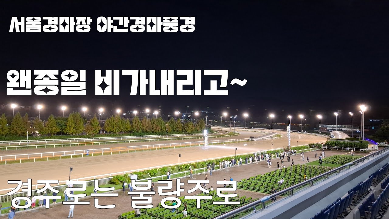 경마장에 왠종일 비가내려서 주로는 물탕 불량주로속에 야간경마 풍경