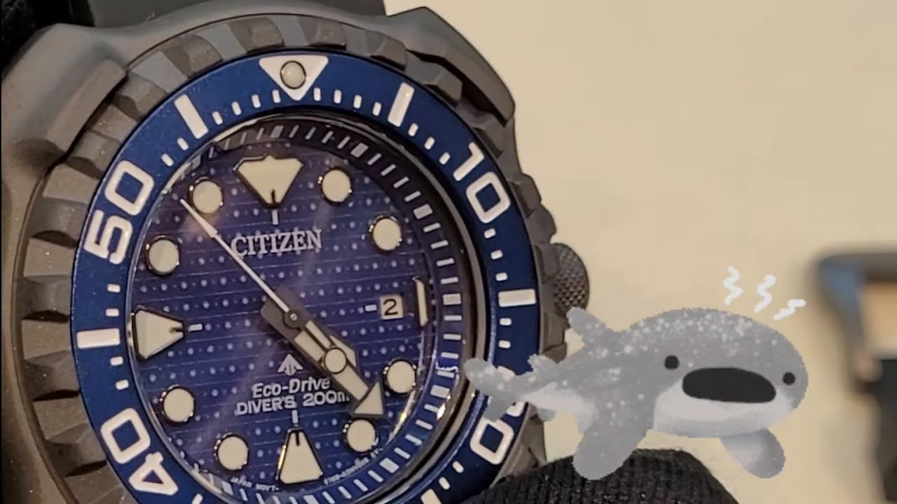 Citizen Promaster Eco Drive Diver 200m citizen-promaster-eco-drive-diver-200m
