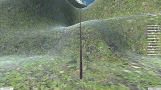 Procedural Generation of Norway Spruce Trees