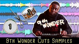 9th Wonder Sample Techniques