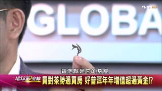地球黃金線_20141022_713_2(TVBS DMDD)