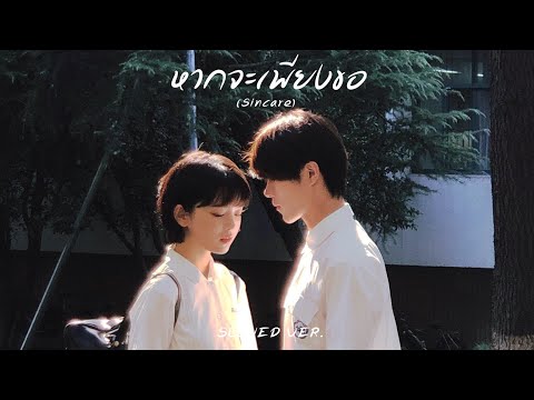 หากจะเพียงขอ(Sincare) - PURPEECH  [ Slowed ]
